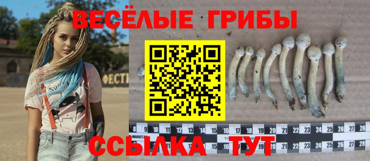 Галлюциногенные грибы прущие грибы  закладки  Донецк  Галлюциногенные грибы MAGIC MUSHROOMS  Вход с VPN 